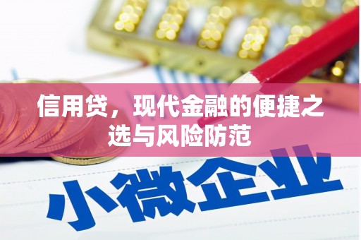桐庐信用贷，现代金融的便捷之选与风险防范