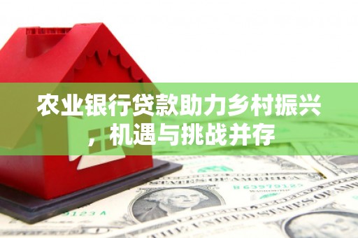 新沂农业银行贷款助力乡村振兴，机遇与挑战并存
