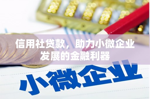理县信用社贷款，助力小微企业发展的金融利器