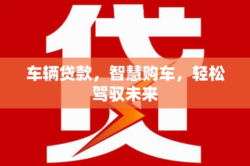 临武车辆贷款，智慧购车，轻松驾驭未来