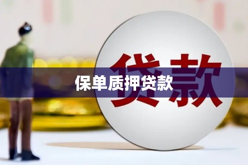 海陵保单质押贷款