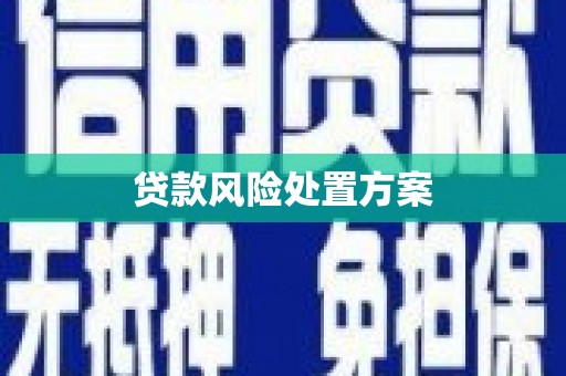 平泉贷款风险处置方案