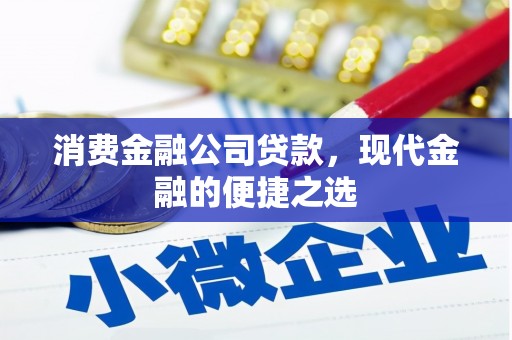 和田县消费金融公司贷款，现代金融的便捷之选