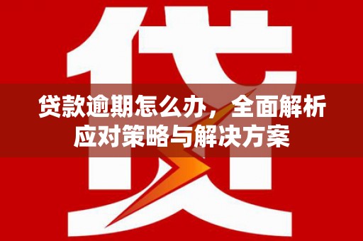 濮阳贷款逾期怎么办，全面解析应对策略与解决方案