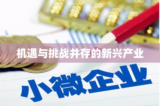镇康机遇与挑战并存的新兴产业
