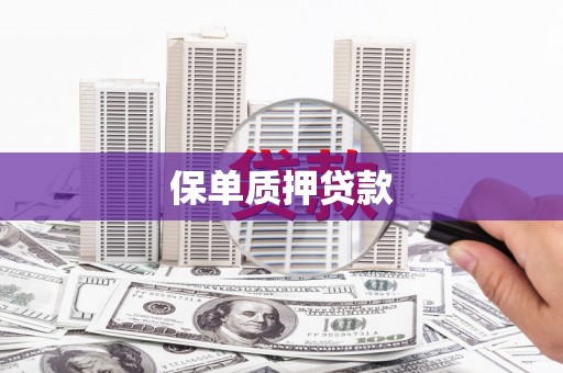 荔城保单质押贷款