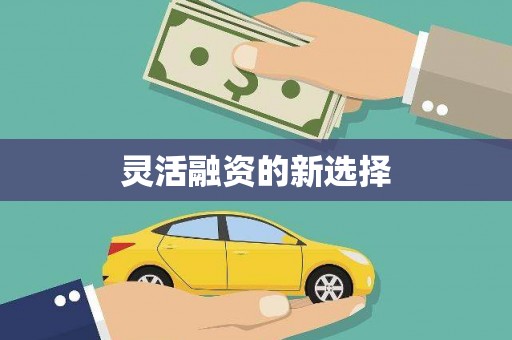 乐东灵活融资的新选择