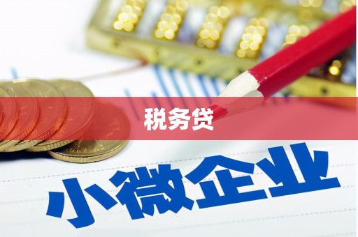 恩平税务贷