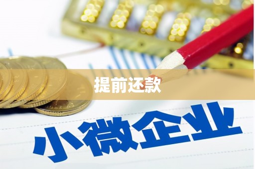 荣昌提前还款
