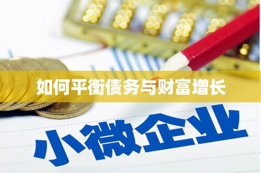 公安如何平衡债务与财富增长