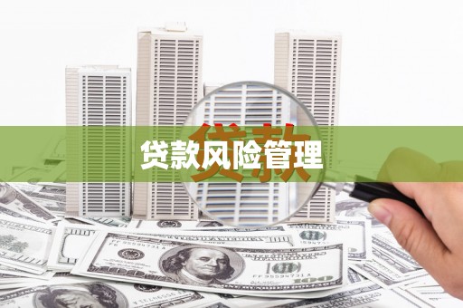 岑巩贷款风险管理