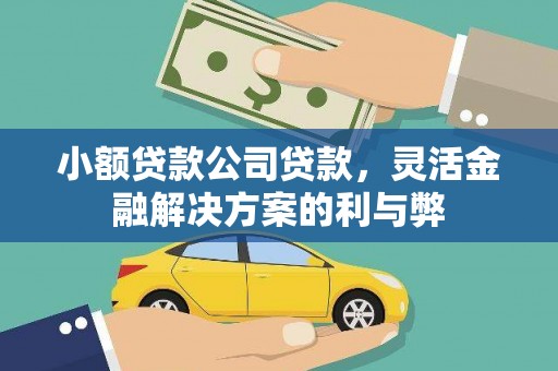湘东小额贷款公司贷款，灵活金融解决方案的利与弊