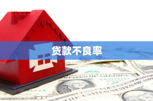 沈河贷款不良率